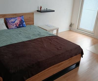 Tichý 1-izbový byt s výhľadom a 12 min do centra električkou. 