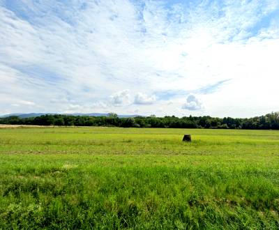 Baškovce – Poľnohospodárska pôda v komasácii