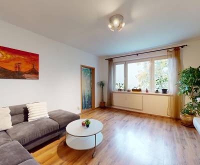 PRIESTRANNÝ, AŽ 92 m2 VEĽKÝ 4 IZBOVÝ BYT, ČIASTOČNÁ REKONŠTRUKCIA