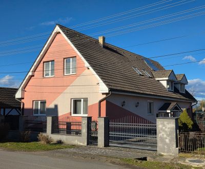 Rezervované: Nadštandardne zariadená 8-izbová vila aj pre 2 generácie