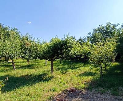 NA PREDAJ investičný stavebný pozemok v obci Malé Chyndice
