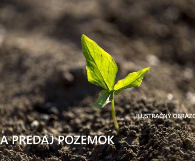 Na predaj pozemok bez kompromisov v Trenčíne/Záblatí