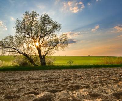 Poniky – 14.166 m2 ORNÁ PÔDA a LESY – Na Predaj