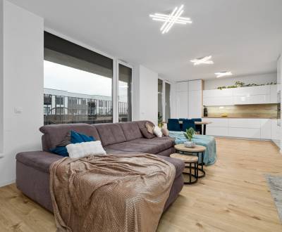 - 3 IZBOVÝ BYT - SLNEČNICE - FIALOVÁ - PETRŽALKA