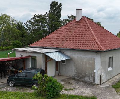 Veľký priestranný pozemok o rozlohe 7445 m2 s RD, Jelka 