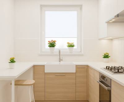 Predaj 4 izbový byt v Starej Sásovej