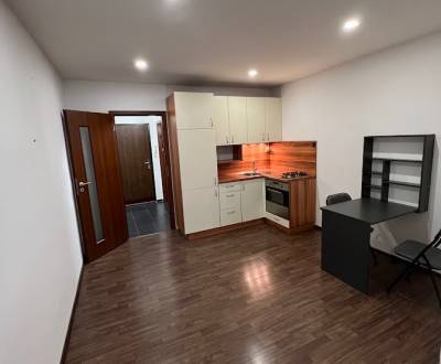 Vkusne zrekonštruovaný 1i byt v Senci 