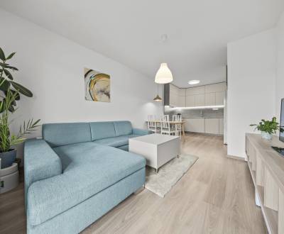 3D, prenájom 2i bytu v novostavbe Bory Bývanie gar. stá., Jána Langoša