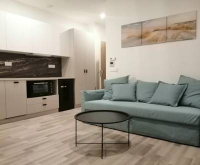 ŠIKOVNÁ GARSÓNKA na PRENÁJOM v CENTRE MESTA na BEZRUČOVEJ ul.