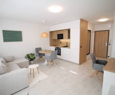 Krásny 1izb. byt po rekonštrukcii, loggia, parking, 10min. od centra
