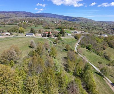 Pozemok 7900m2 Zvolen Detva Hriňová na predaj