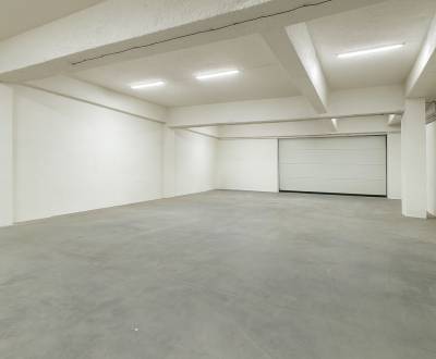NA PRENÁJOM SKLADOVÝ / VÝROBNÝ PRIESTOR (290m2) SENICA.