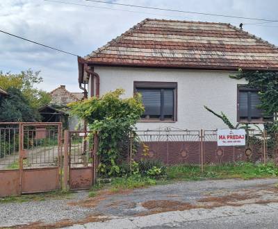 Rodinný dom 1+3 s ústredným kúrením + vedľajšie stavby