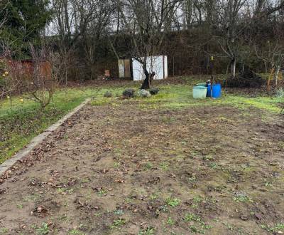 Záhrada Levice - Podhradie 311m2