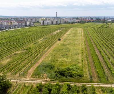 Pozemok v Pezinku s výmerou až 5190 m2
