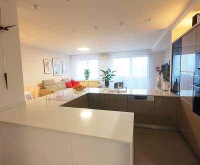 NA PRENAJOM LUXUSNY 4 IZBOVY BYT , UL.ŽRIEDLOVÁ, KOŠICE-STARÉ MESTO