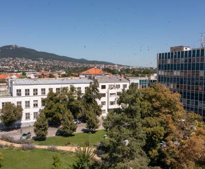 NA PREDAJ posledný štýlový byt v centre Nitry 