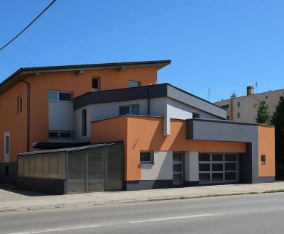 Na predaj ubytovňa / rodinný dom  v Šali  Veči s kapacitou 50 osôb