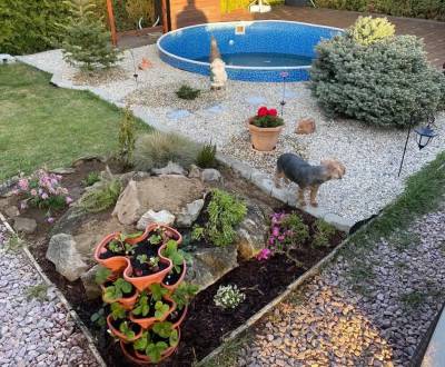 Záhrada na predaj – Kráľová nad Váhom 29 900 € - Dohoda Možná