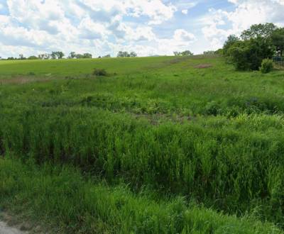 Na predaj : stavebný pozemok  Vranov nad Topľou