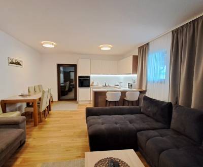 Lukratívny a priestranný 2-izbový apartmán v Mlynici na prenájom