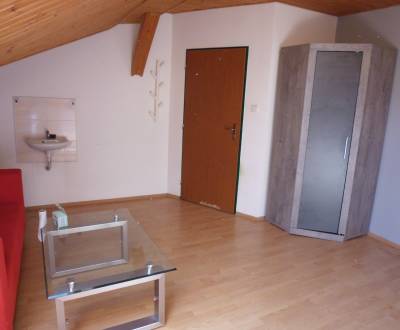 ČAPAJEVOVA: VOĽNÉ nebytové priestory s umývadlom 17 m2 - 1.p.