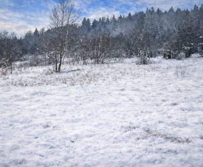 Predaj súboru dvoch pozemkov Oščadnica- Zádedová