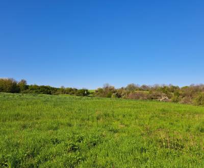 Pozemok 7.000 m2, šírka 55 m, Žemberovce, Cena DOHODOU (SM–867)