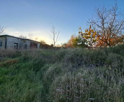 Stavebný pozemok 815 m2 s budovou, Levice, Kalinčiakovo (SM-869)