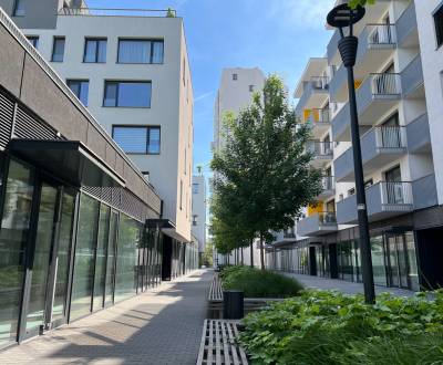 NIVY/JARABINKY - obchodný priestor 62,15 m2  na pešej zóne na prenájom