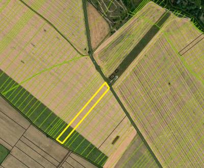 ORNÁ PÔDA, ŠIROKÝ POZEMOK, BUDMERICE