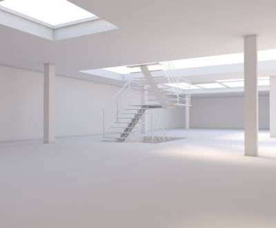 Na predaj PRIESTRANNÝ OBCHODNÝ PRIESTOR na LUKRATÍVNEJ ADRESE RUŽINOVA