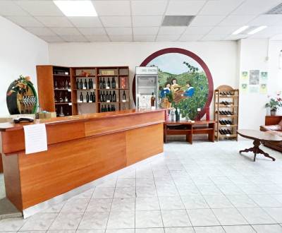 Na predaj podnikateľský priestor v blízkosti centra mesta Holíč.