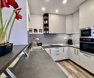 Moderná novostavba 4-izbový rodinný dom, Sokolovce