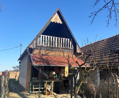 PREDAJ, PODLUŽANY - VINIČNÝ DOMČEK S VINOHRADOM