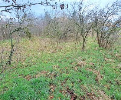 Stavebný pozemok, intravilán 1.382m2, šírka 24m, Levice (SM - 871)