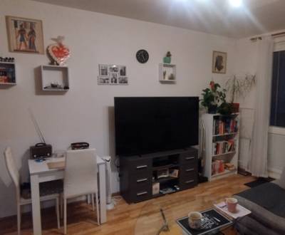 Predaj: 1 izbový byt - 38m2, L. Svobodu, SKALICA 