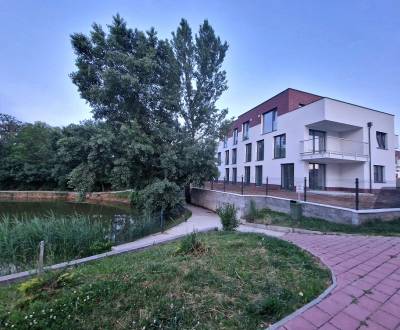 SENEC: NA PREDAJ SKOLAUDOVANÉ POSLEDNÉ VOĽNÉ BYTY 