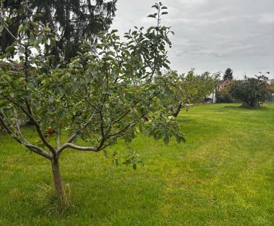 Veľký STAVEBNÝ POZEMOK v centre PEZINKA so zrekonštruovaným domom