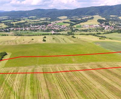 Veľká Čausa – 11.725 m2 POZEMOK nad Veľkou Čausou s prístupom