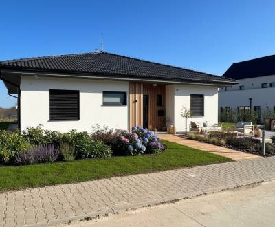 4iz RD (v štandarde + zámková dlažba, terasa) Madunice