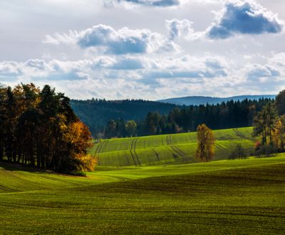 Beša – 4.571 m2 POĽNOHOSPODÁRKA PÔDA a LESY