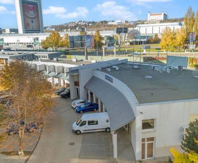Showroom/kancelárie 357 m², Zadunajská cesta, Petržalka, BA