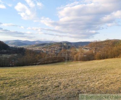 Pozemok s nádhernými výhľadmi v Púchove nad časťou Vieska-Bezdedov na 