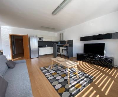 Prenájom 2 izbový 78 m2 + 30 m2 terasa,novostavba Koliba,zariadený