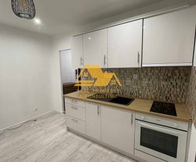 Prenajmem prerobený 1 izbový byt v Nových Zámkoch