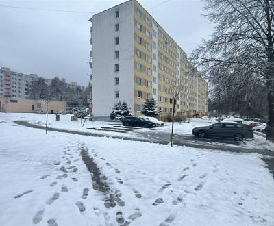 PREDAJ: 1i byt 32 m2; Bazovského; Zvolen-Sekier; 79.500 €