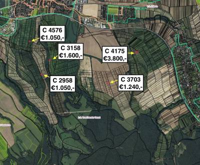 Trenčianska Turná – Poľnohospodárska pôda v podiele 1/1