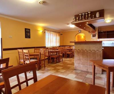 Predaj Domu (obchodného priestoru) v obci Lovča