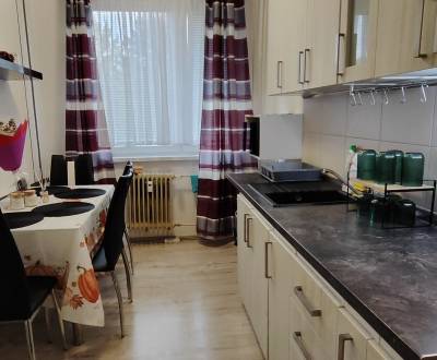 PREDAJ 3-IZBOVÉHO BYTU S LOGGIOU, 73 M², VRANOV NAD TOPĽOU